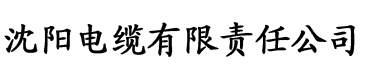 污污污插拔anhua电缆厂logo